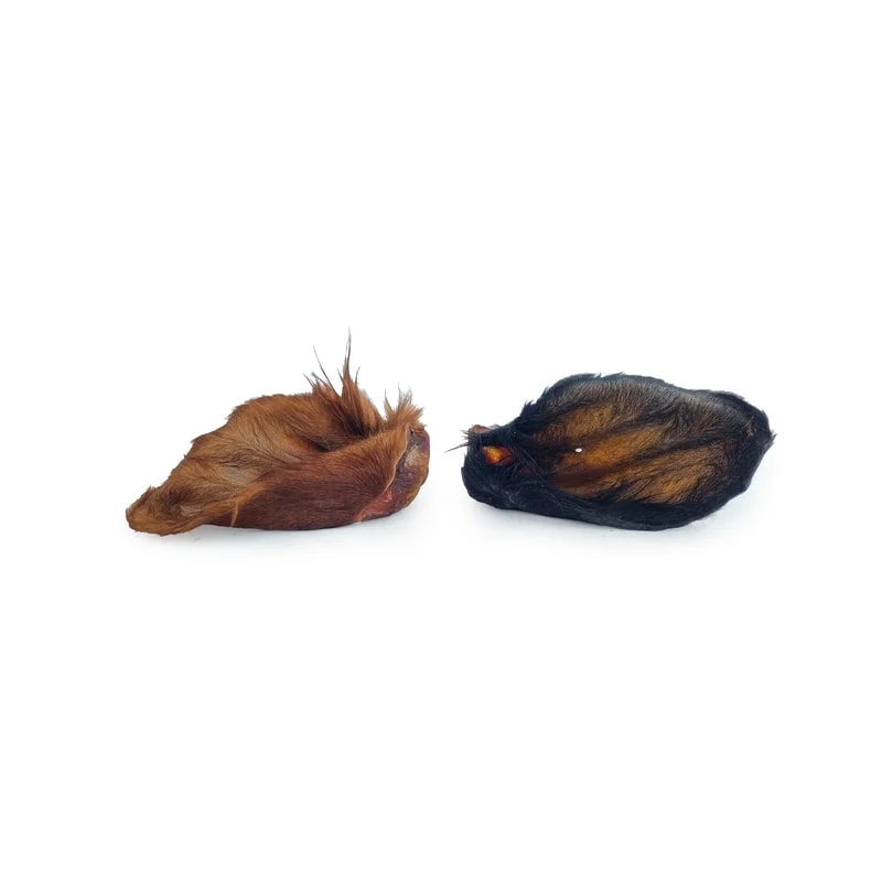 Oreilles de bœuf avec poils, Mastication pour chien
