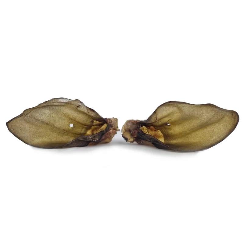 Oreilles de bœuf, Mastication pour chien