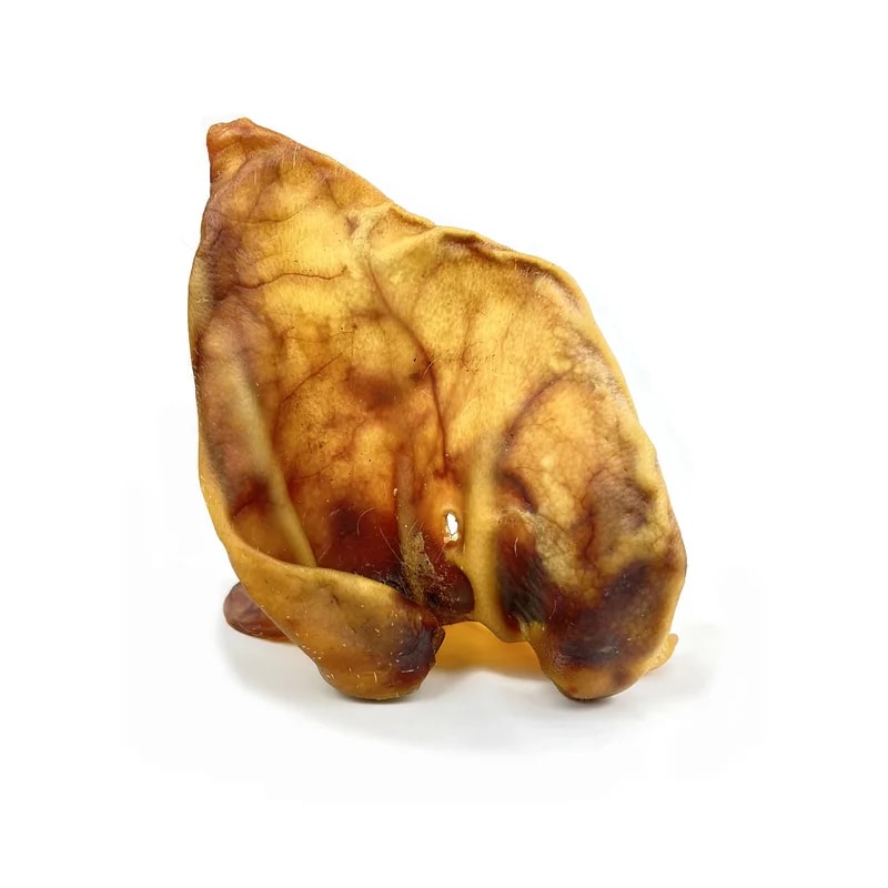 Oreilles de porc XXXL — Mastication pour chien