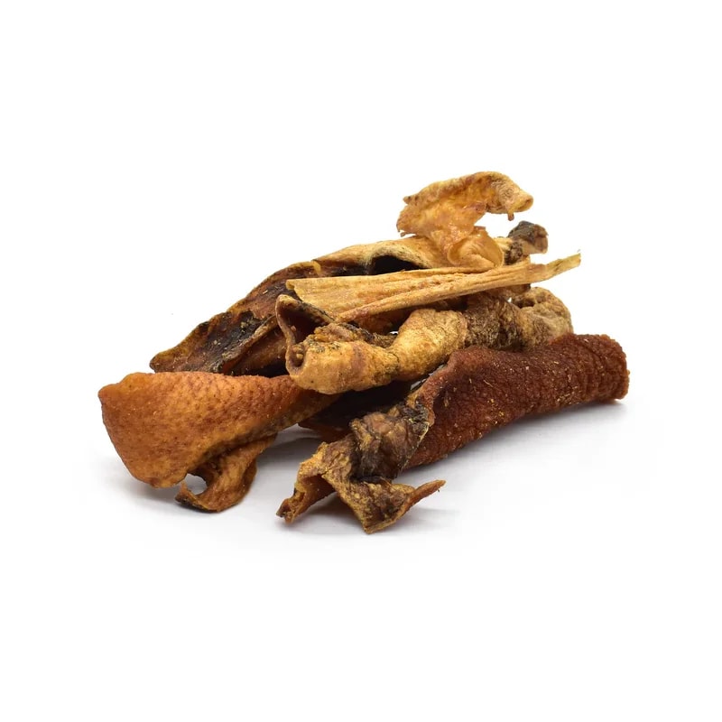 Peau de sanglier — Mastication pour chien