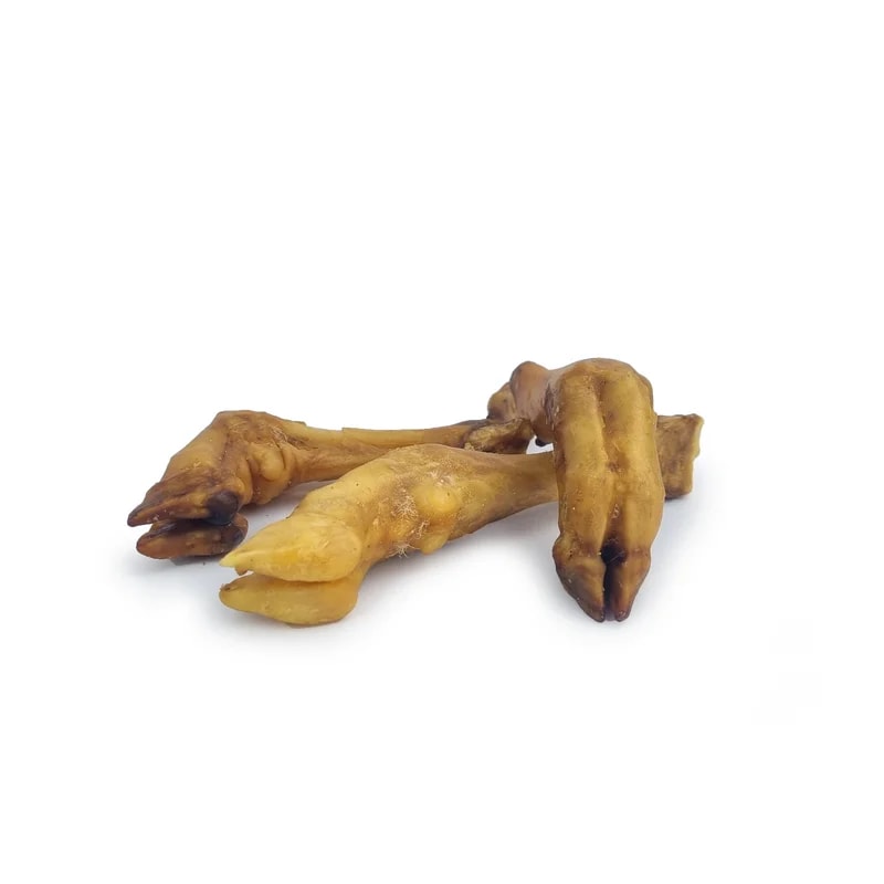 Pieds d'agneau, Mastication pour chien