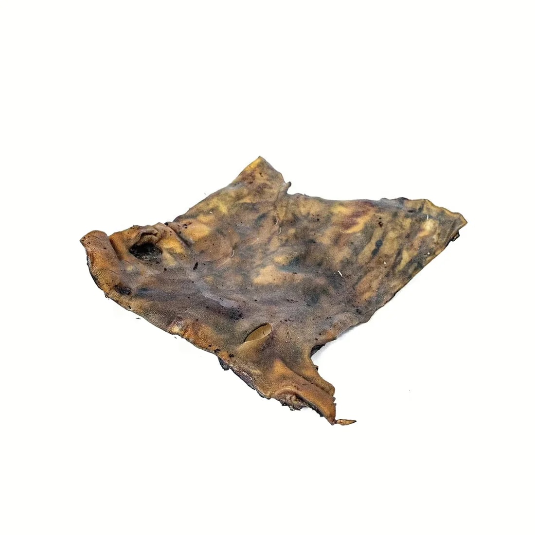 Plaque de bœuf, Mastication pour chien, photo 1 sur 3