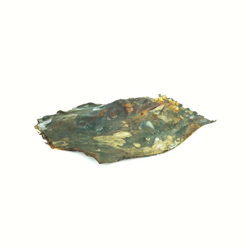 Plaque de cerf, Mastication pour chien