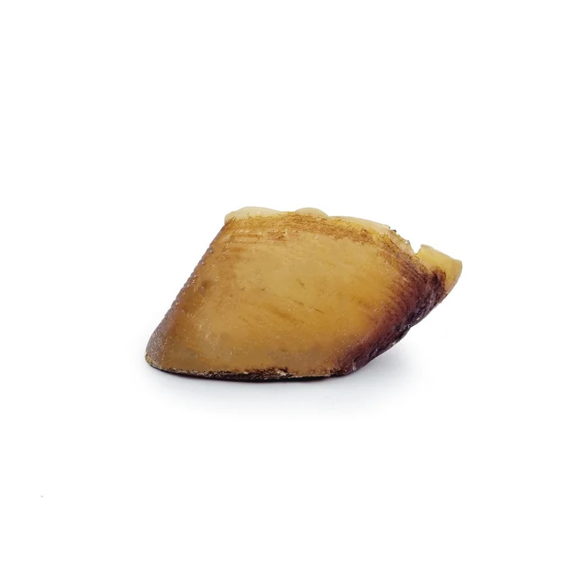 Sabot de boeuf — Mastication pour chien, photo 1 sur 3