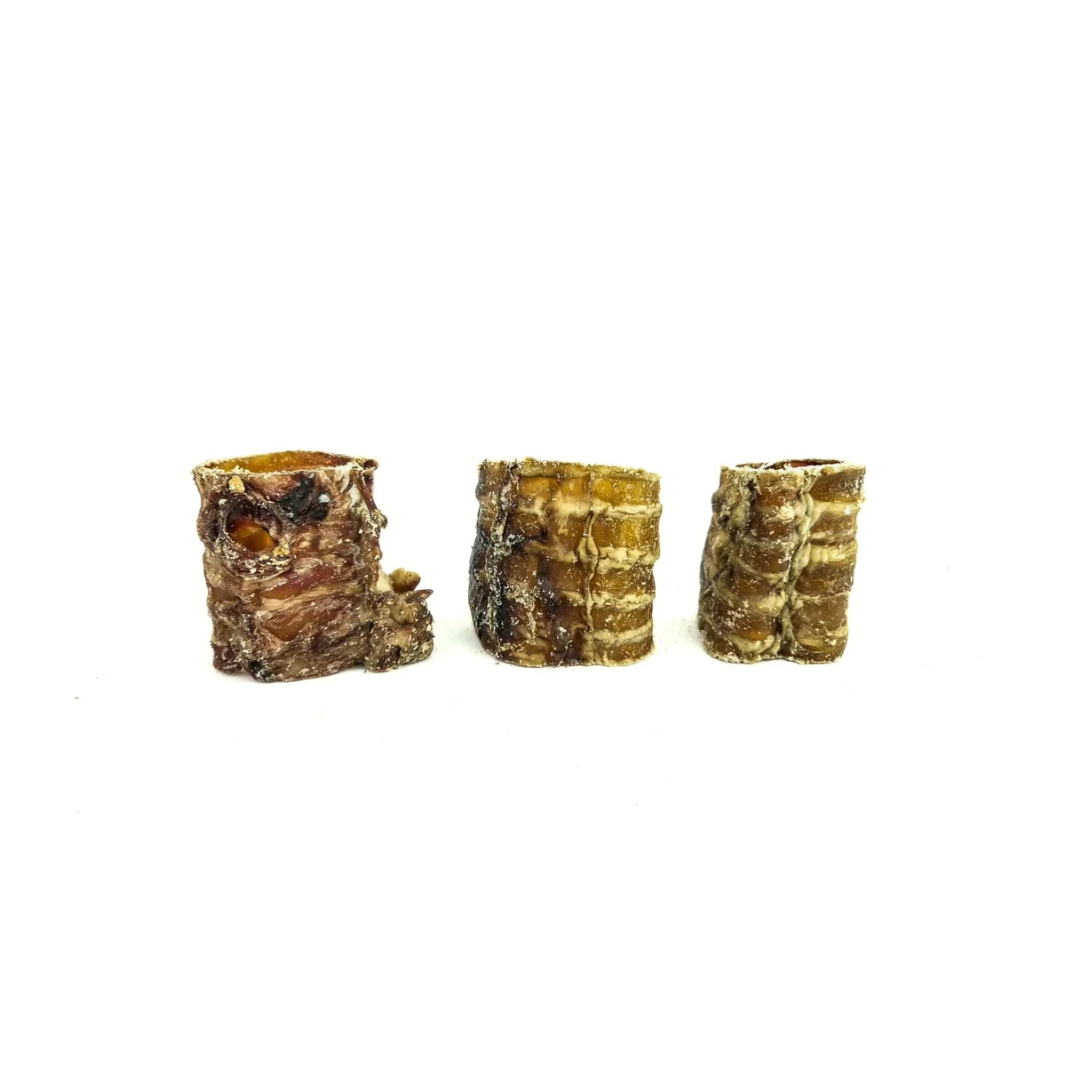 Trachée de bœuf 5cm, Mastication pour chien, photo 1 sur 2