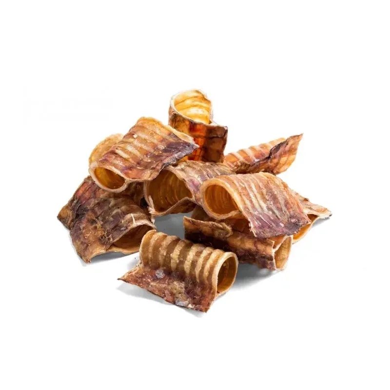 Trachée de bœuf 5cm, Mastication pour chien, photo 2 sur 2