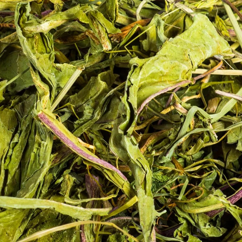 Feuilles de pissenlit, Vrac pour lapin