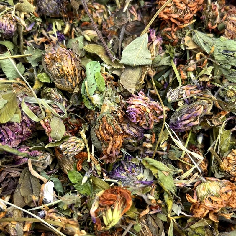 Fleurs de trèfle rouge, Vrac pour lapin