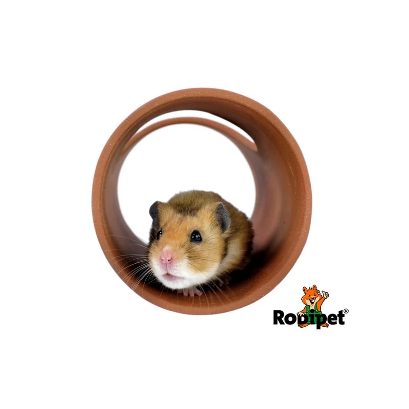 Tunnel en céramique, Accessoires pour chinchilla, photo 3 sur 4