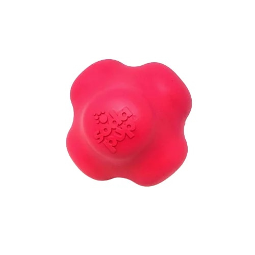 CrazyBounce, Jouets pour chien