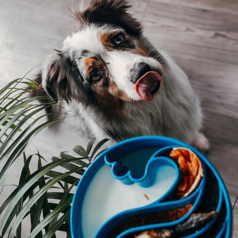 eBowl Vague — Tapis de fouille pour chien, photo 2 sur 3