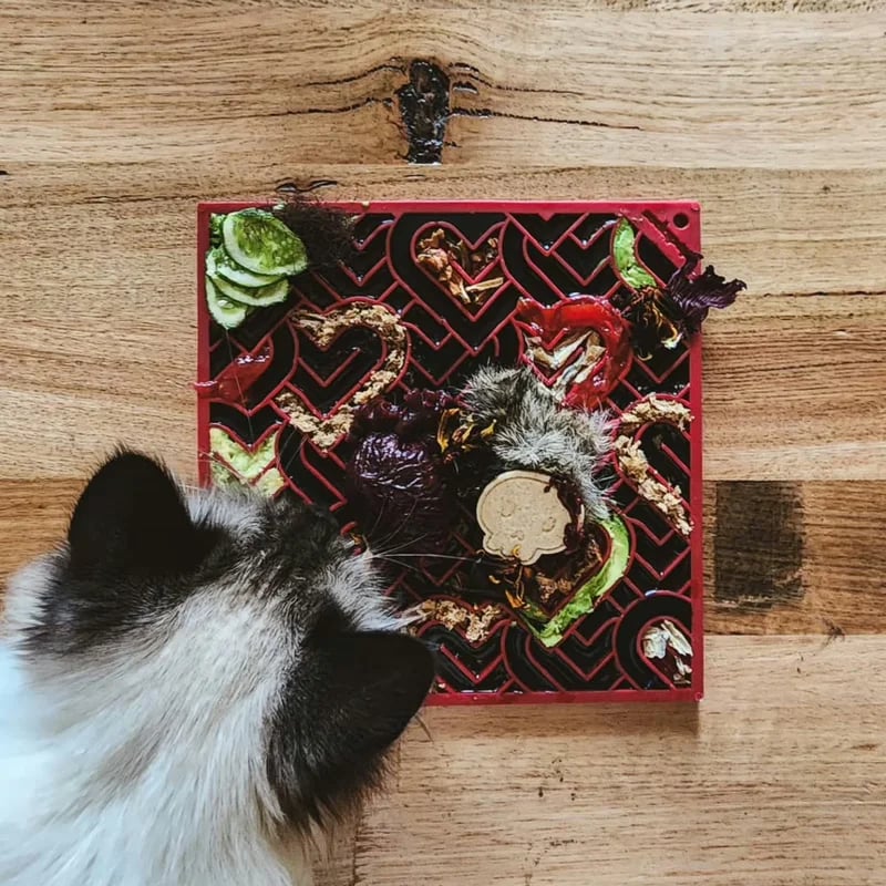 eMat Cœur, Jouets pour chien, photo 3 sur 3