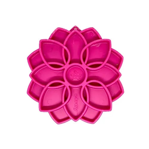 eTray Mandala, Jouets pour chien, photo 6 sur 6