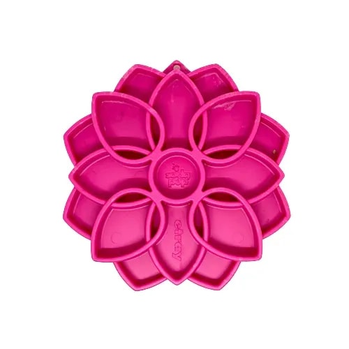eTray Mandala, Jouets pour chien, photo 6 sur 6