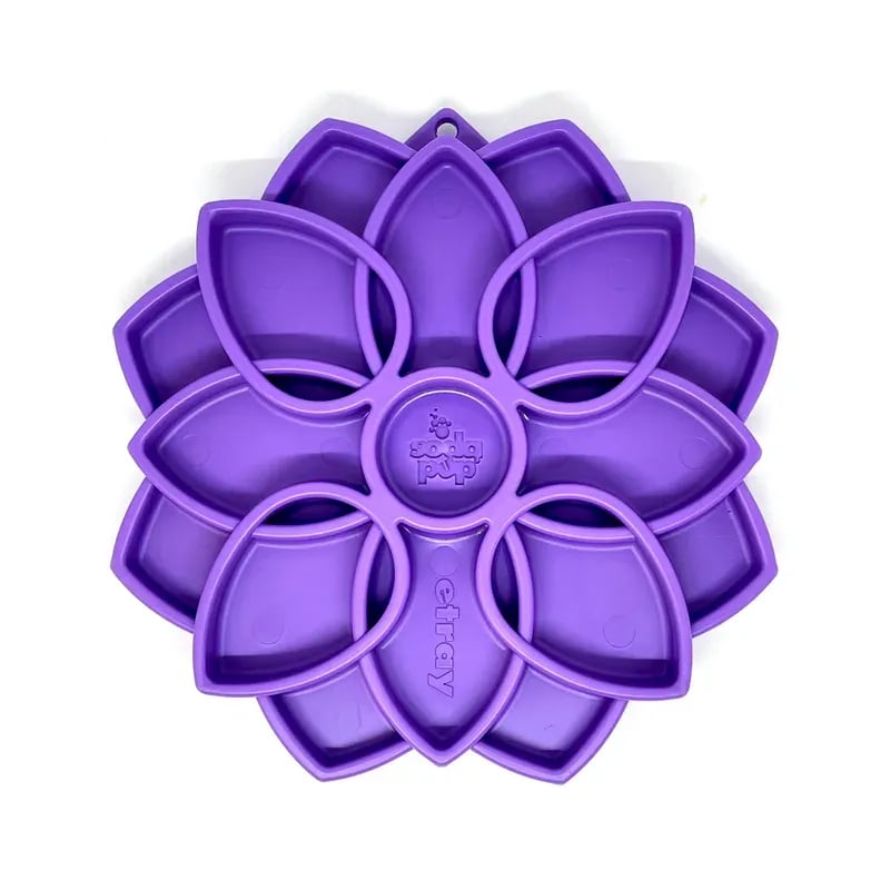 eTray Mandala, Jouets pour chien, photo 4 sur 6