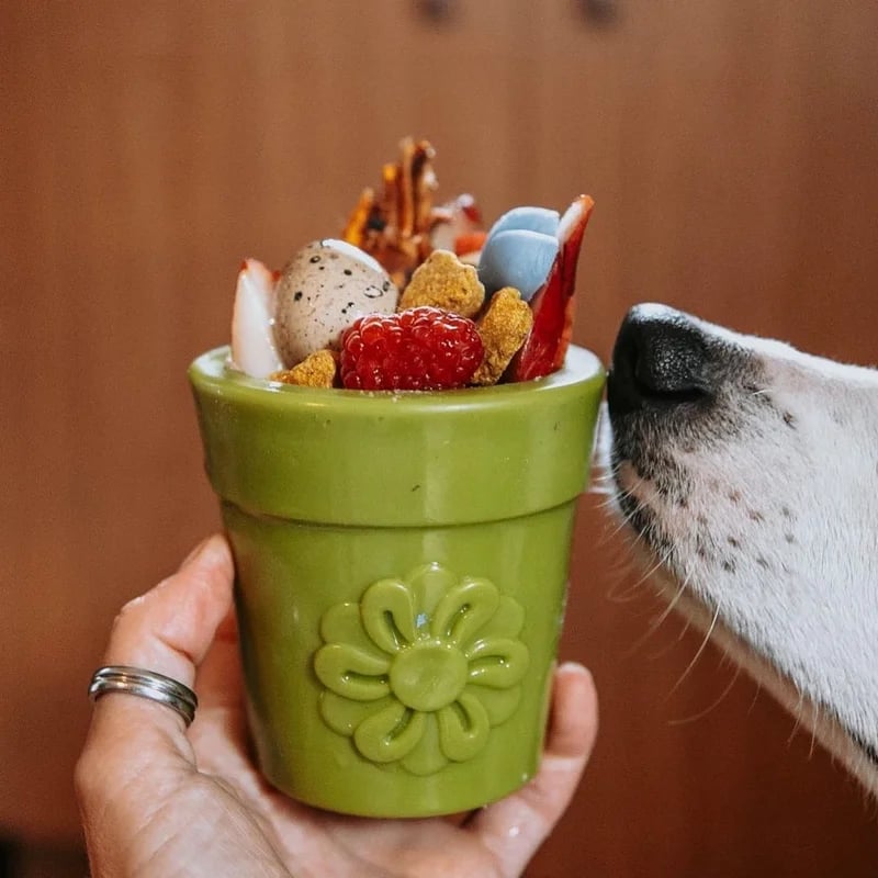Pot de fleur — Jouets pour chien, photo 4 sur 6