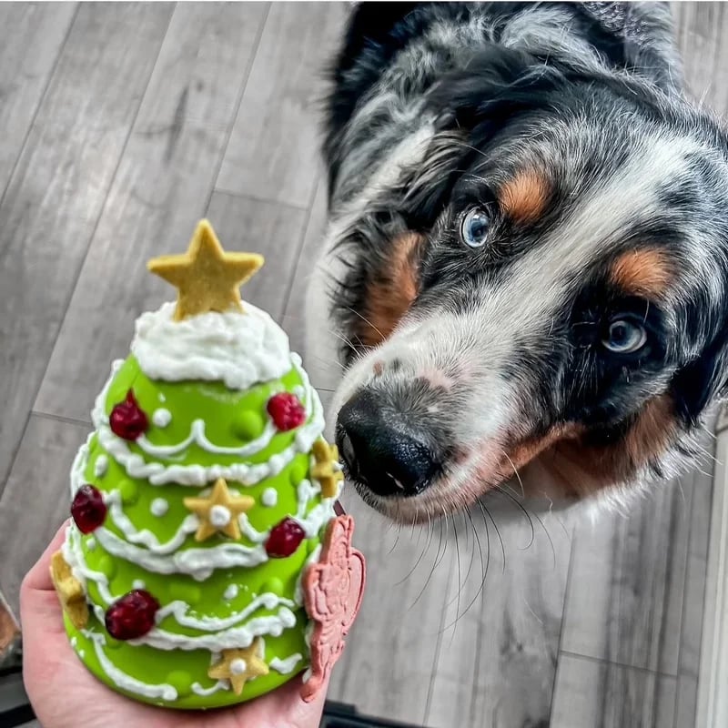 Sapin de Noël — vue 2