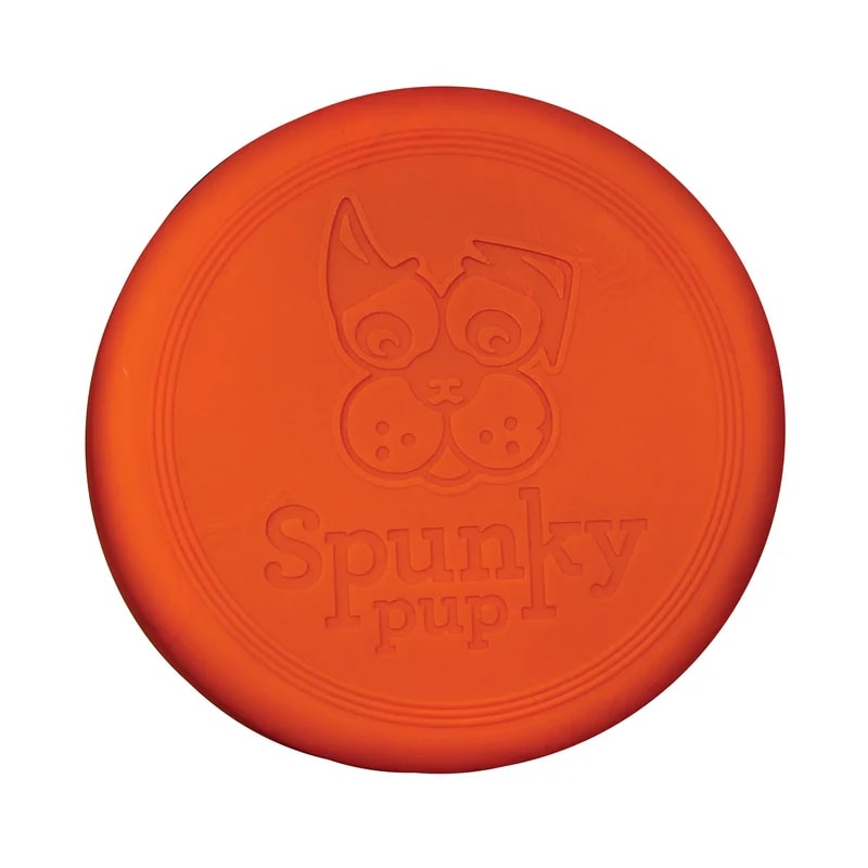 Frisbee, Jouets pour chien