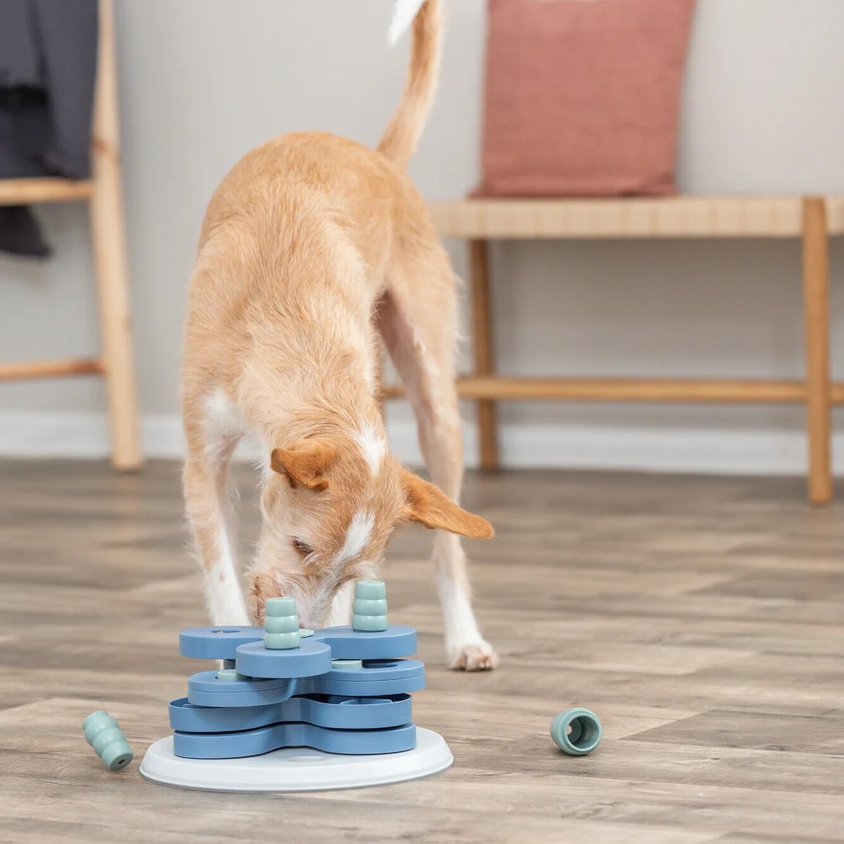 Flower Tower, Jouets pour chien, photo 3 sur 5