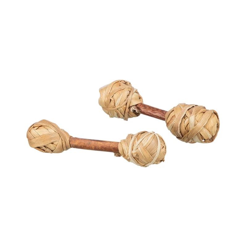 Haltères en bois et herbe, Jouets pour rat