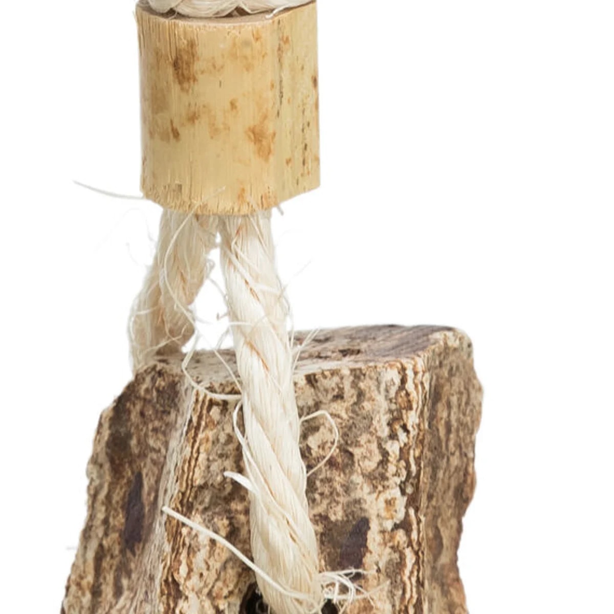 Jouet noix d'acajou et coquillages, Jouets pour rat, photo 2 sur 3