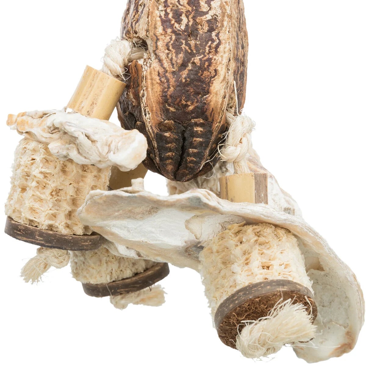 Jouet noix d'acajou et coquillages, Jouets pour rat, photo 3 sur 3
