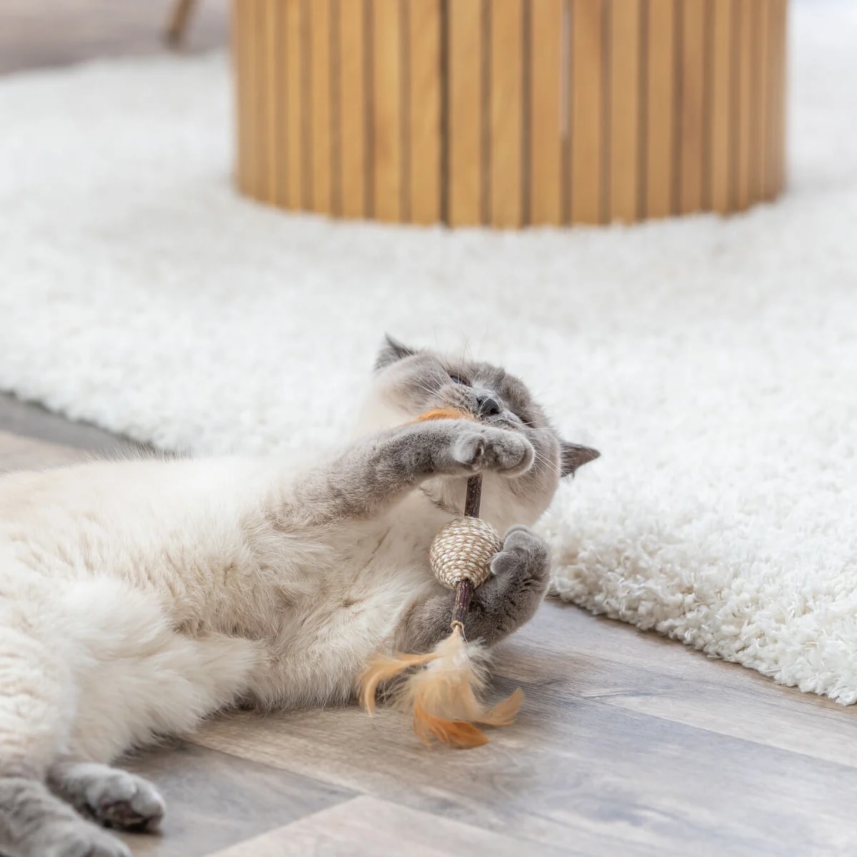 Jouet plume en matatabi, Jouets pour chat, photo 2 sur 3
