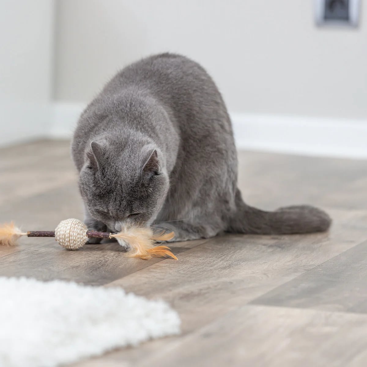 Jouet plume en matatabi, Jouets pour chat, photo 3 sur 3