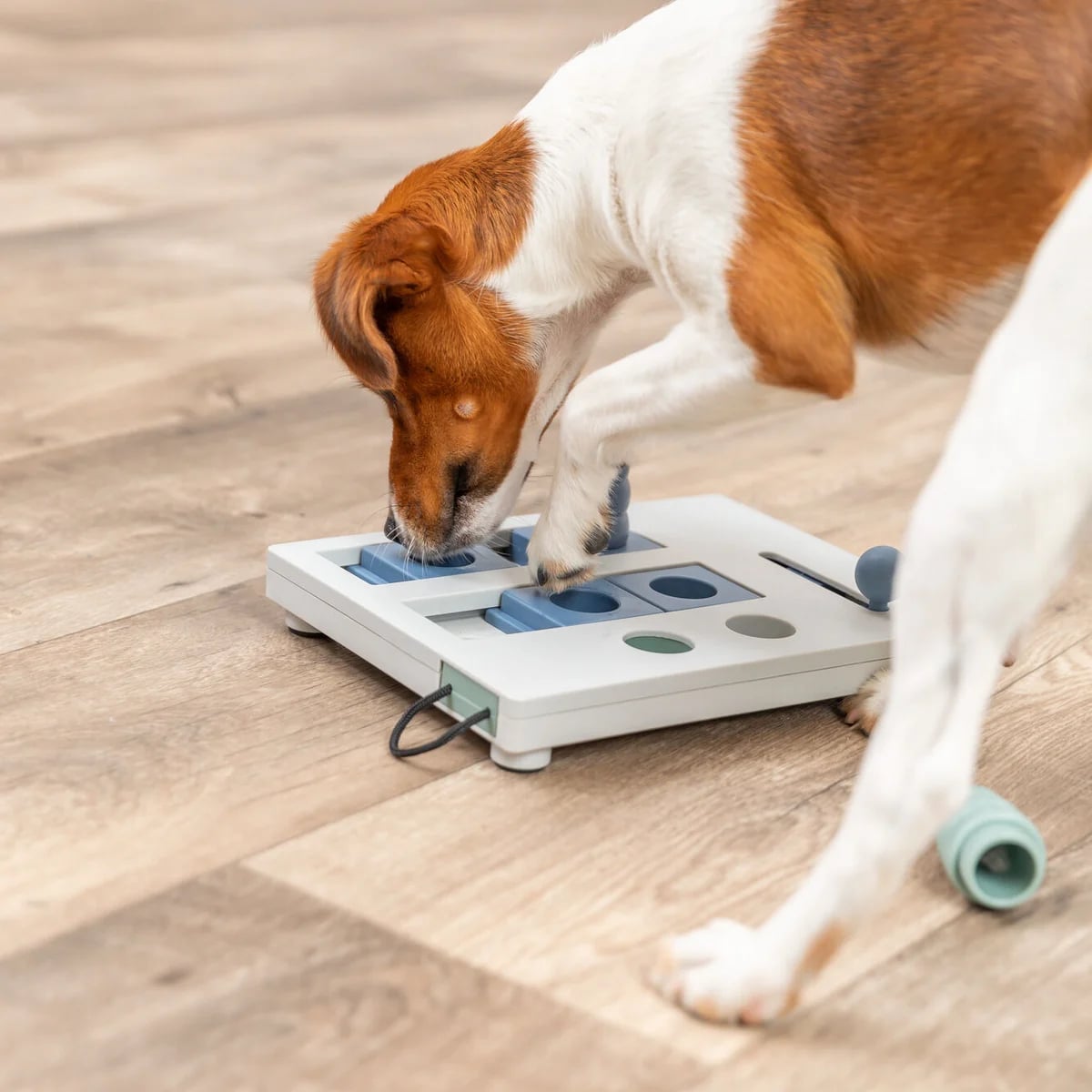 Mini Mover, Jouets pour chien, photo 3 sur 5
