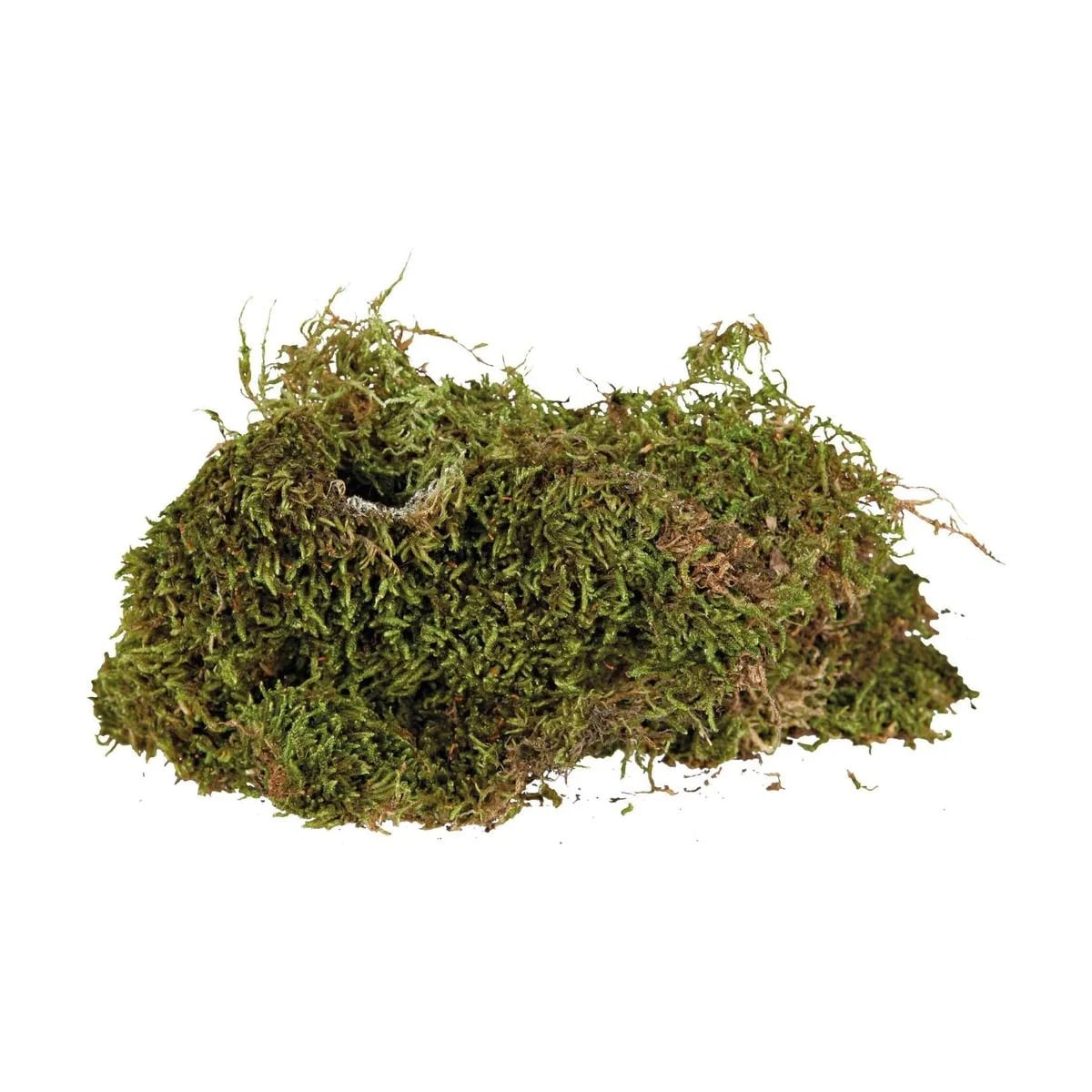 Mousse naturelle 500G, vue 2