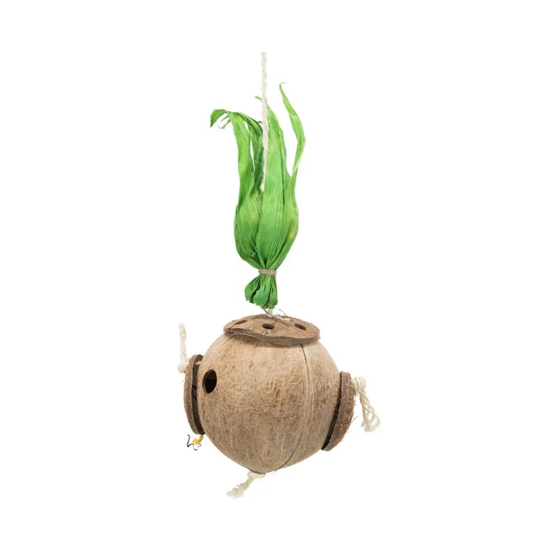 Noix de coco suspendu, Jouets pour hamster