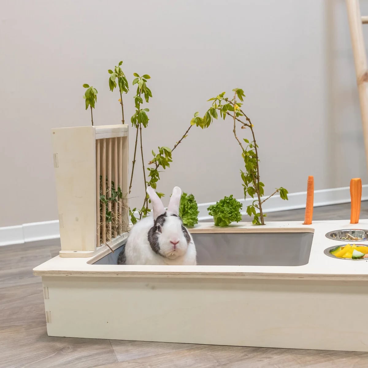 Râtelier avec litière, Accessoires pour lapin, photo 3 sur 5