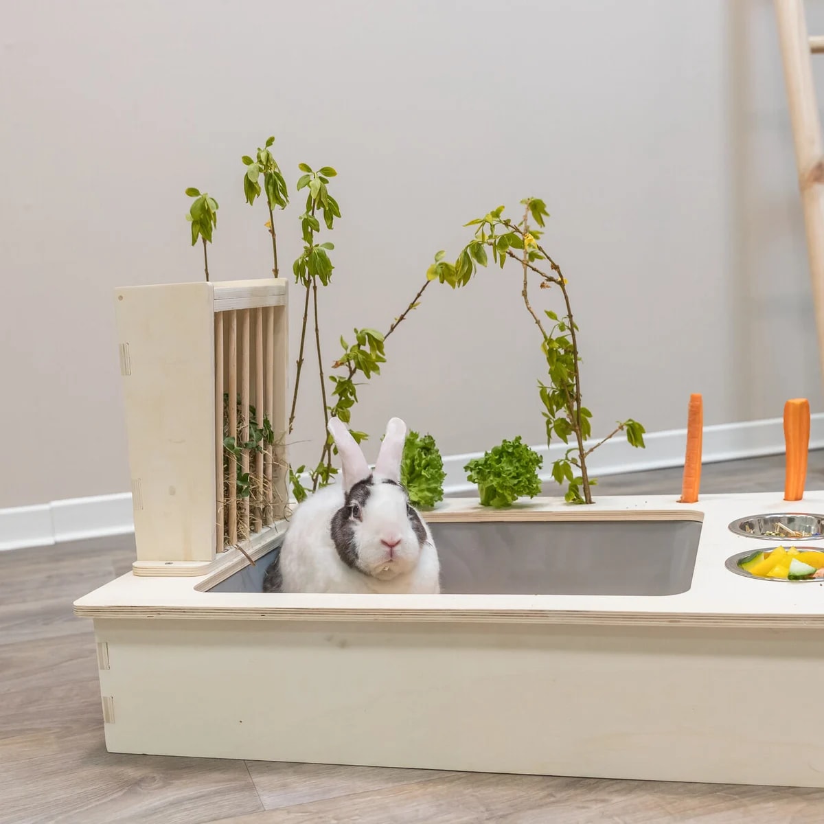 Râtelier avec litière, Accessoires pour lapin, photo 3 sur 5