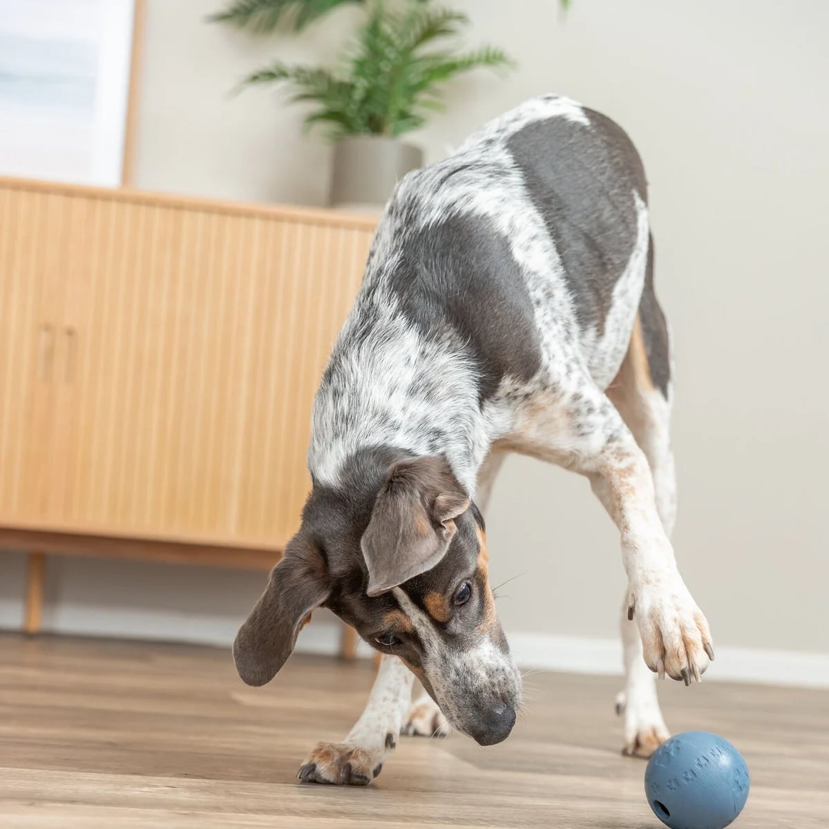 Snack Balle, Jouets pour chien, photo 5 sur 5
