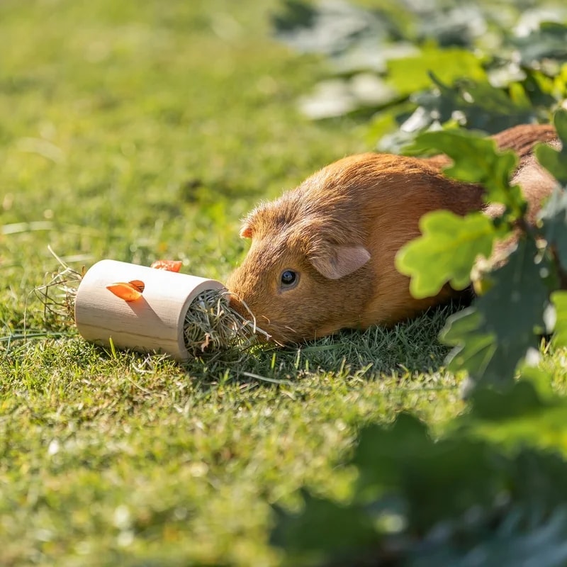 Snack Roll en bois, Jouets pour rat, photo 2 sur 3