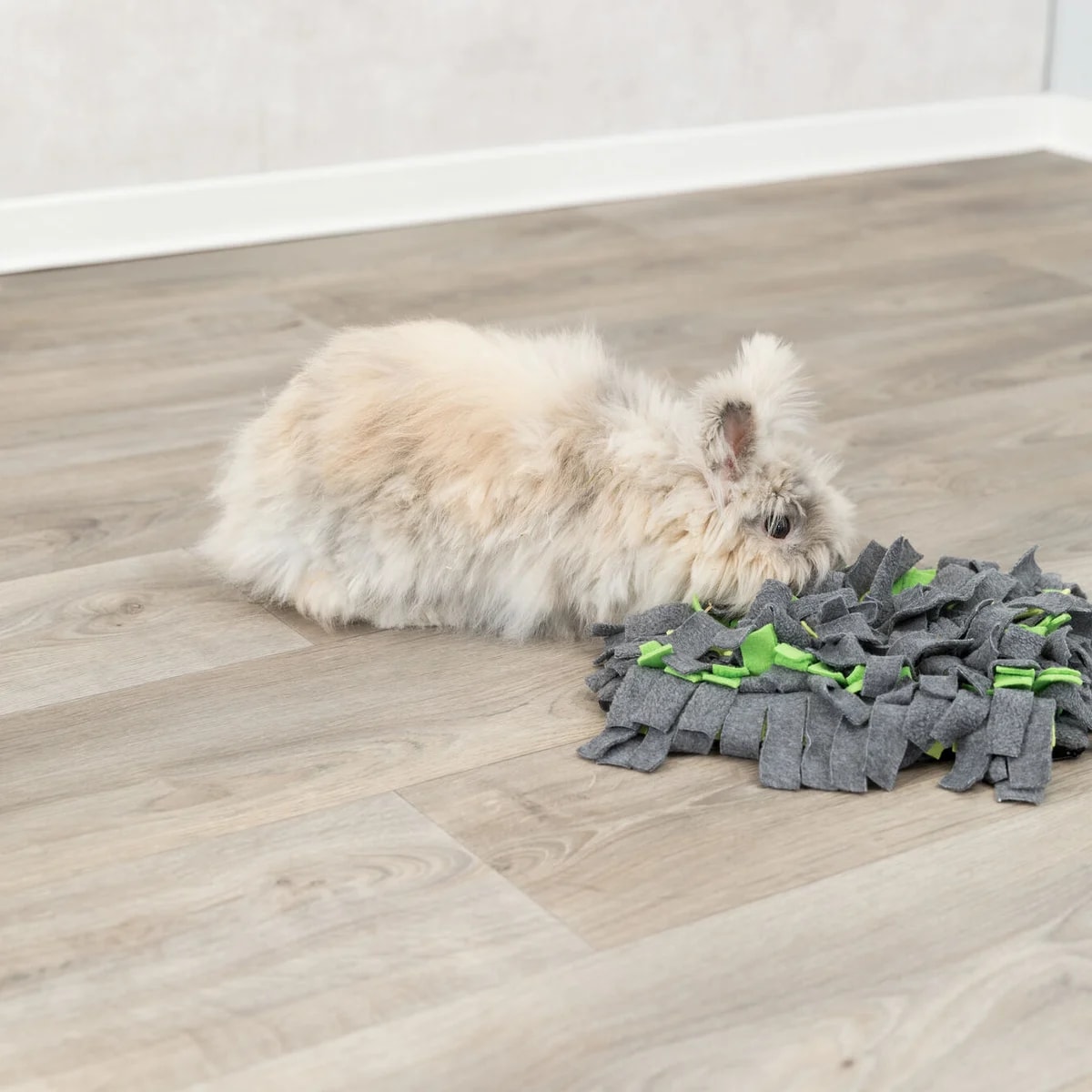 Tapis de fouille tissu, Jouets pour rat, photo 3 sur 4