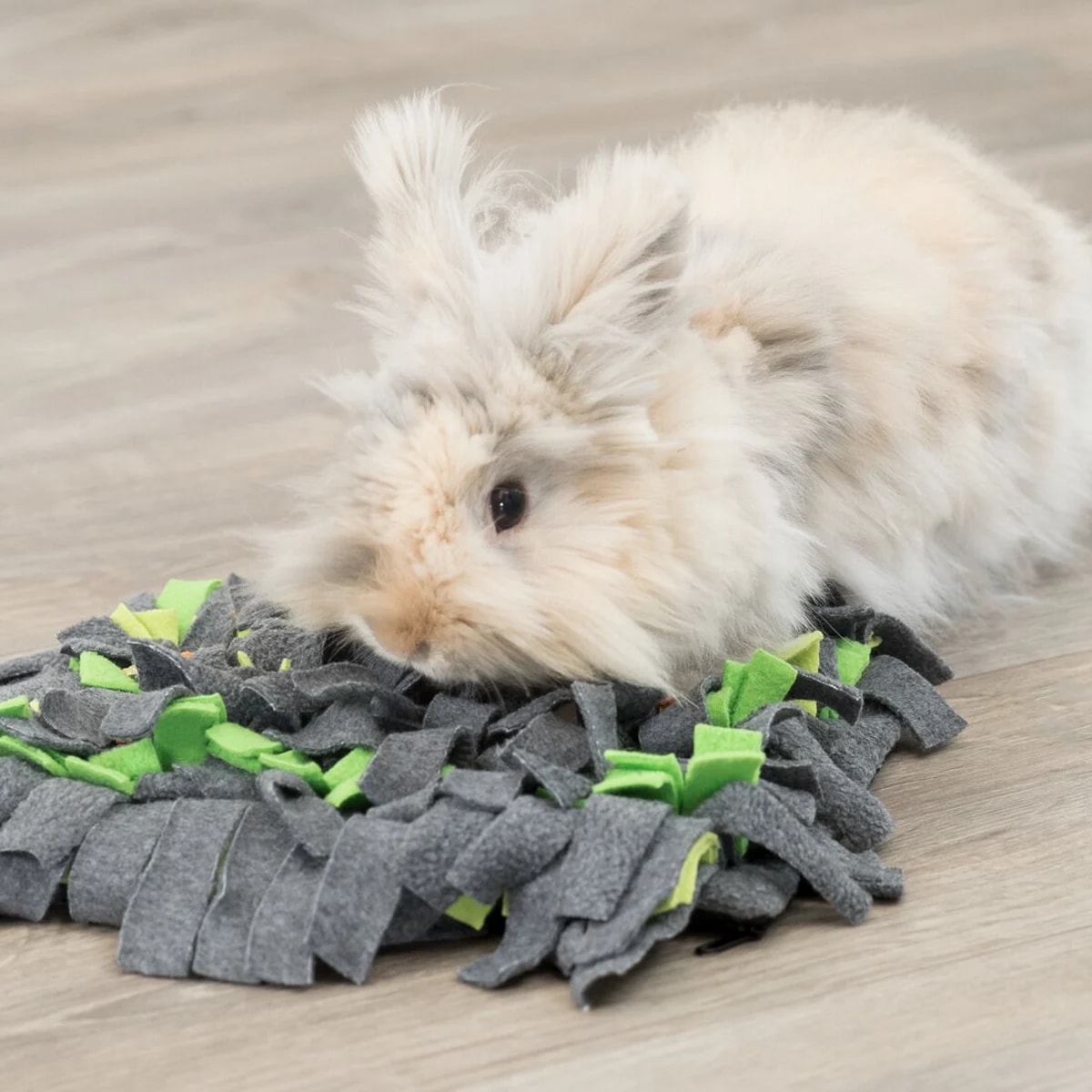 Tapis de fouille tissu, Jouets pour rat, photo 4 sur 4