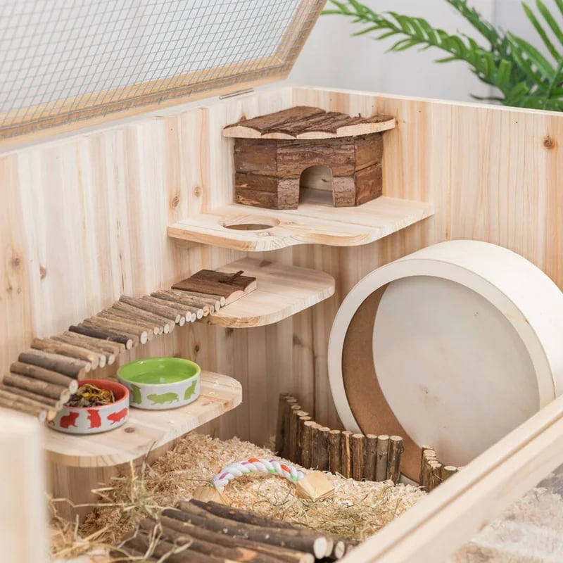 Terrarium pour rongeurs — Accessoires pour gerbille, photo 3 sur 3