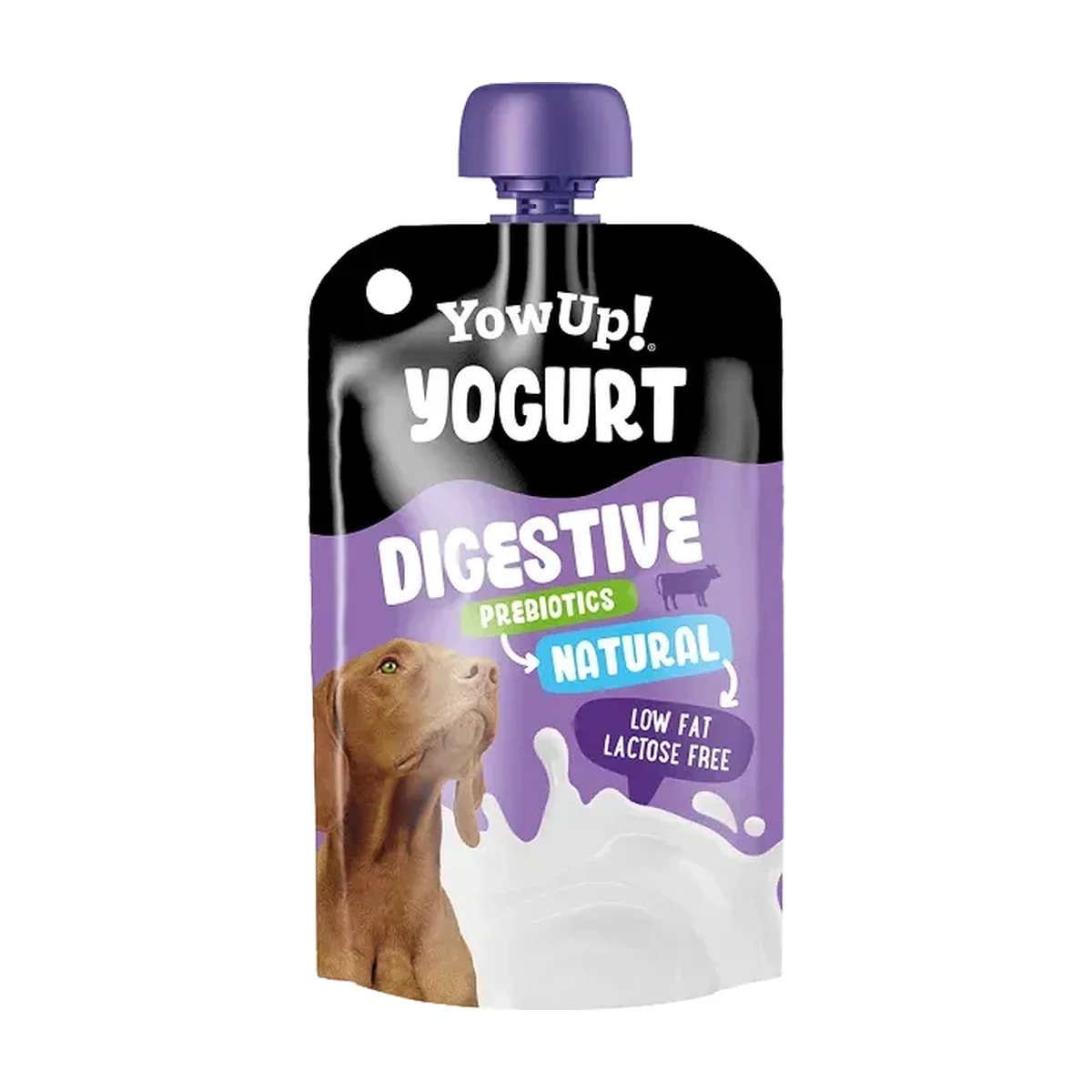 Yaourt Digestive Naturel aux prébiotiques 115G, Compléments alimentaires pour chien
