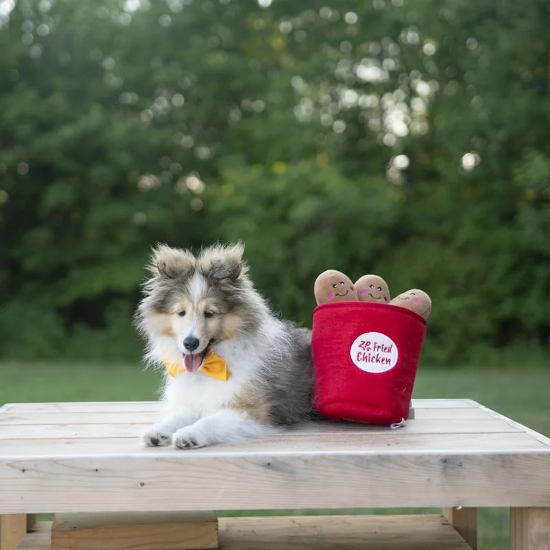 Peluche de fouille Burrow Poulet, Jouets pour chien, photo 2 sur 3