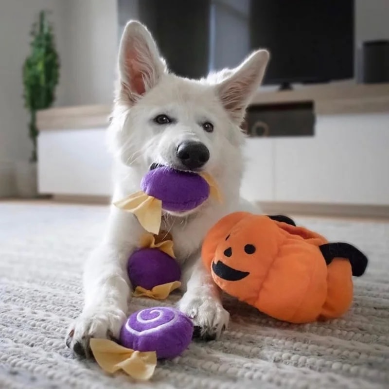 Peluche de fouille Burrow Trick or Treat — Jouets pour chien, photo 2 sur 5