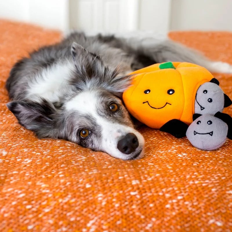 Peluche de fouille Burrow Trick or Treat — Jouets pour chien, photo 3 sur 5