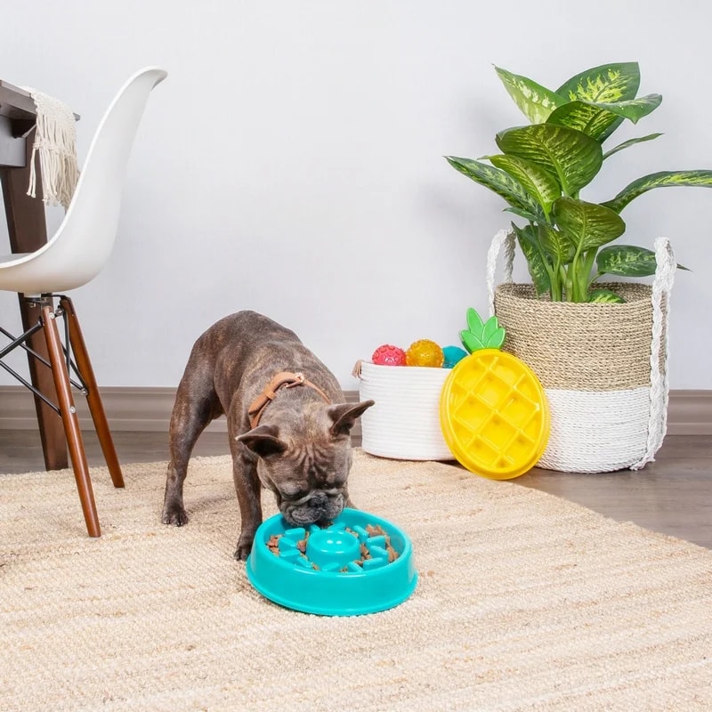 Gamelle Donut, Jouets pour chien, photo 2 sur 2