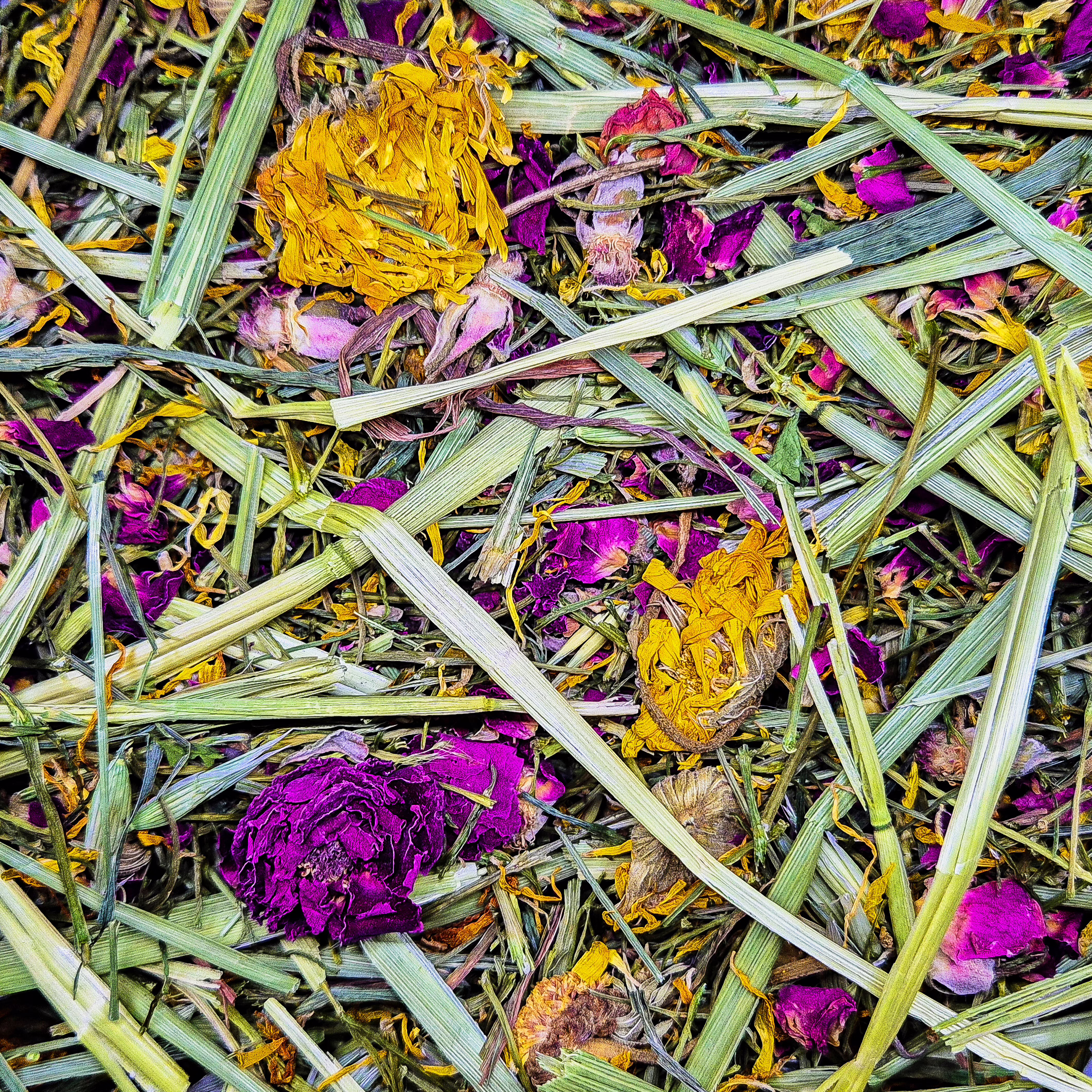 Nacture | Surlitière "Flowers Field"