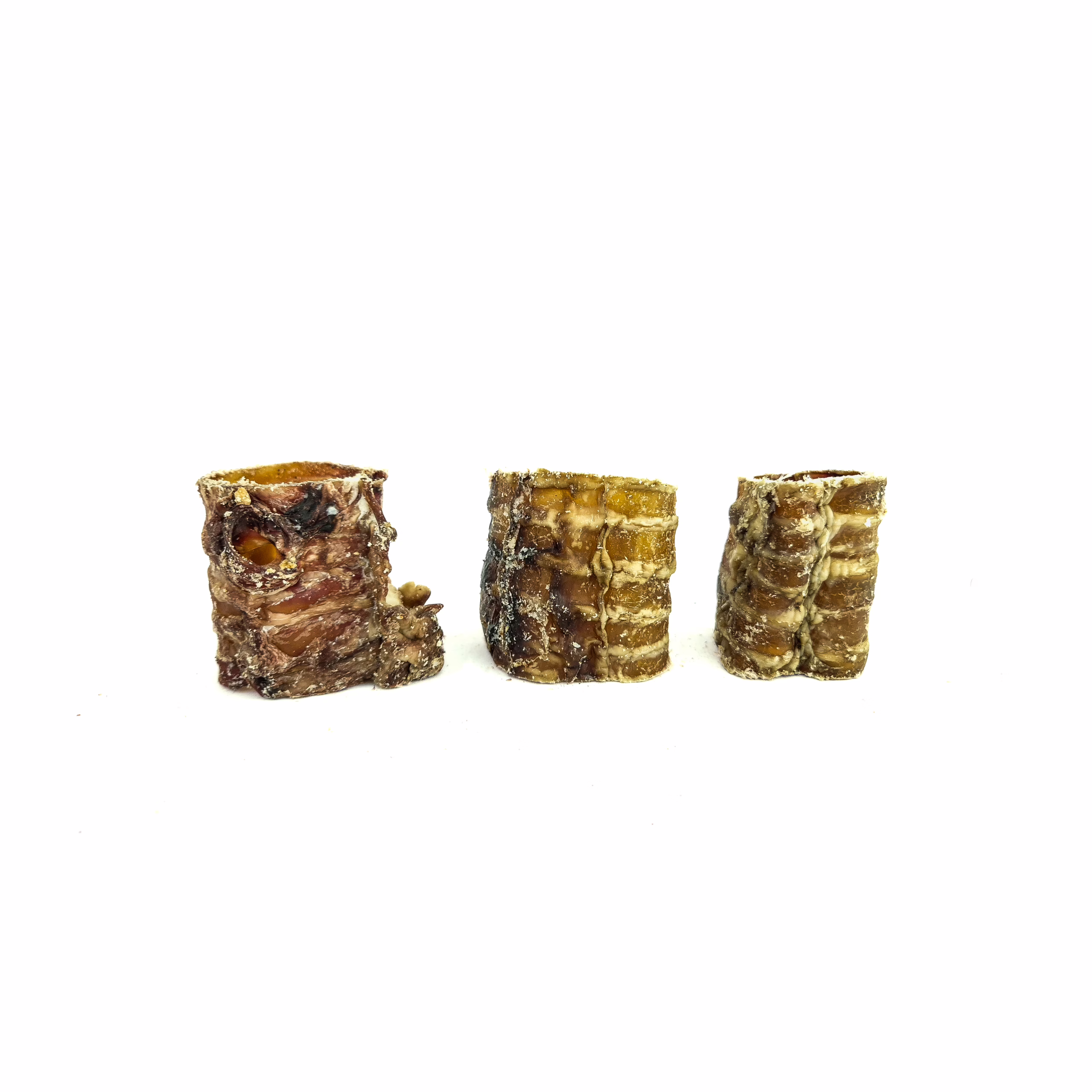 Apalache | Trachée de bœuf 5cm