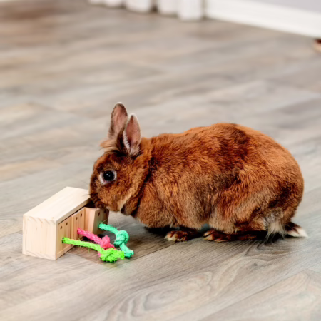 Jouets