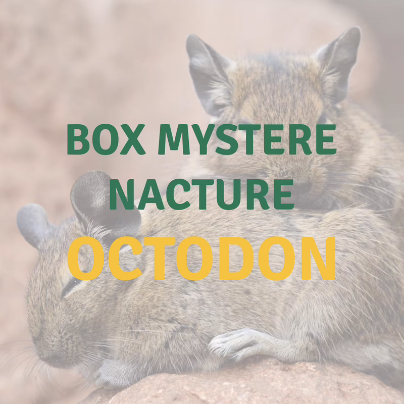 Nacture | Box Surprise Octodon