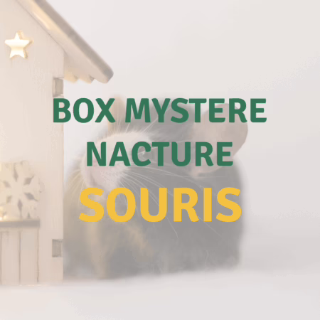 Nacture | Box Surprise Souris