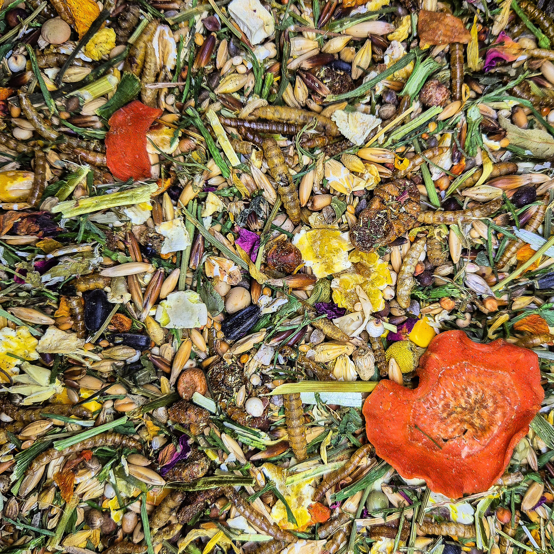 Nacture | Mélange Souris Junior