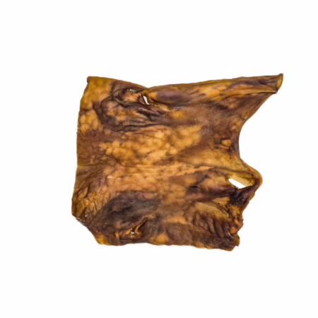 plaque de chameau xl